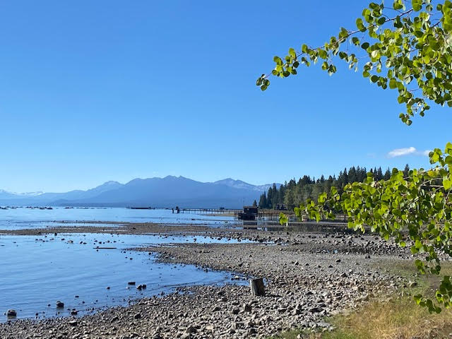 Commons Beach